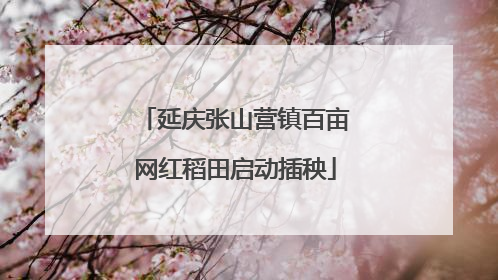 延庆张山营镇百亩网红稻田启动插秧